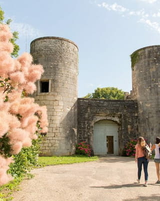 Chalon sur Saône und sein Weinbaugebiet La Bourgogne