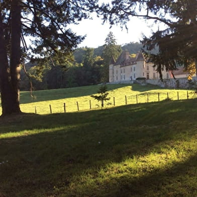 Château de Trélague