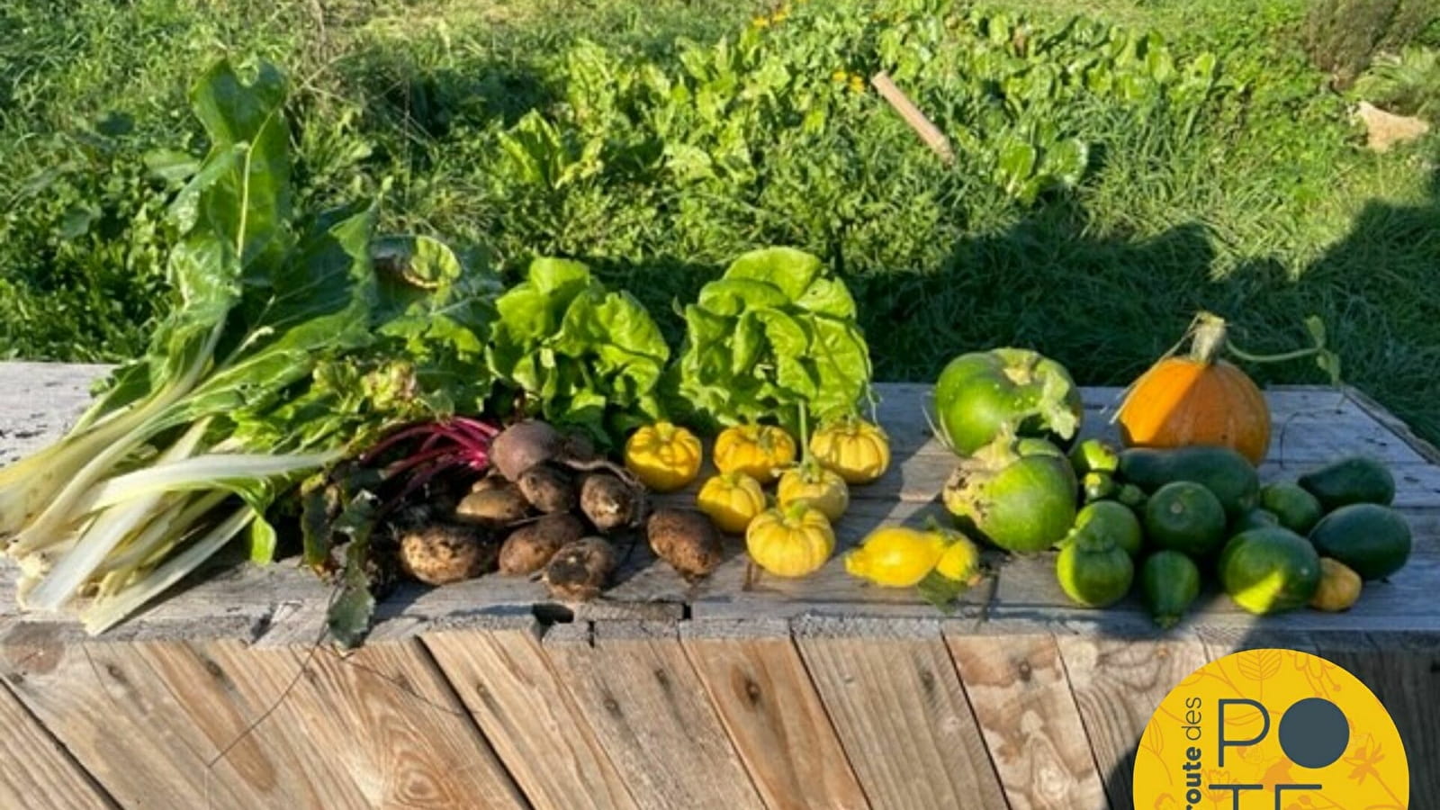 Jardin partagé des Incroyables Comestibles