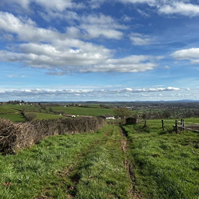 Balade Verte - Die Promenade de l'Ermite