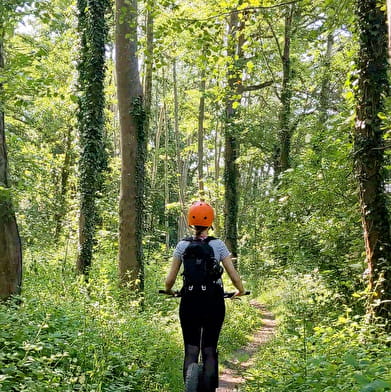 Balade en e-trott - Evasion en forêt