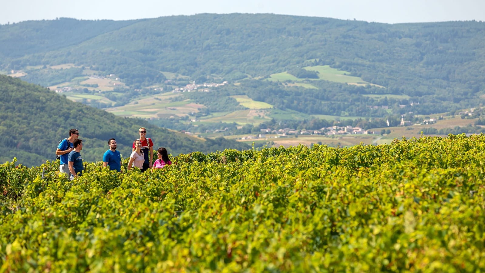 Die Pfade der schönen Aussichten - Saint-Amour-Bellevue