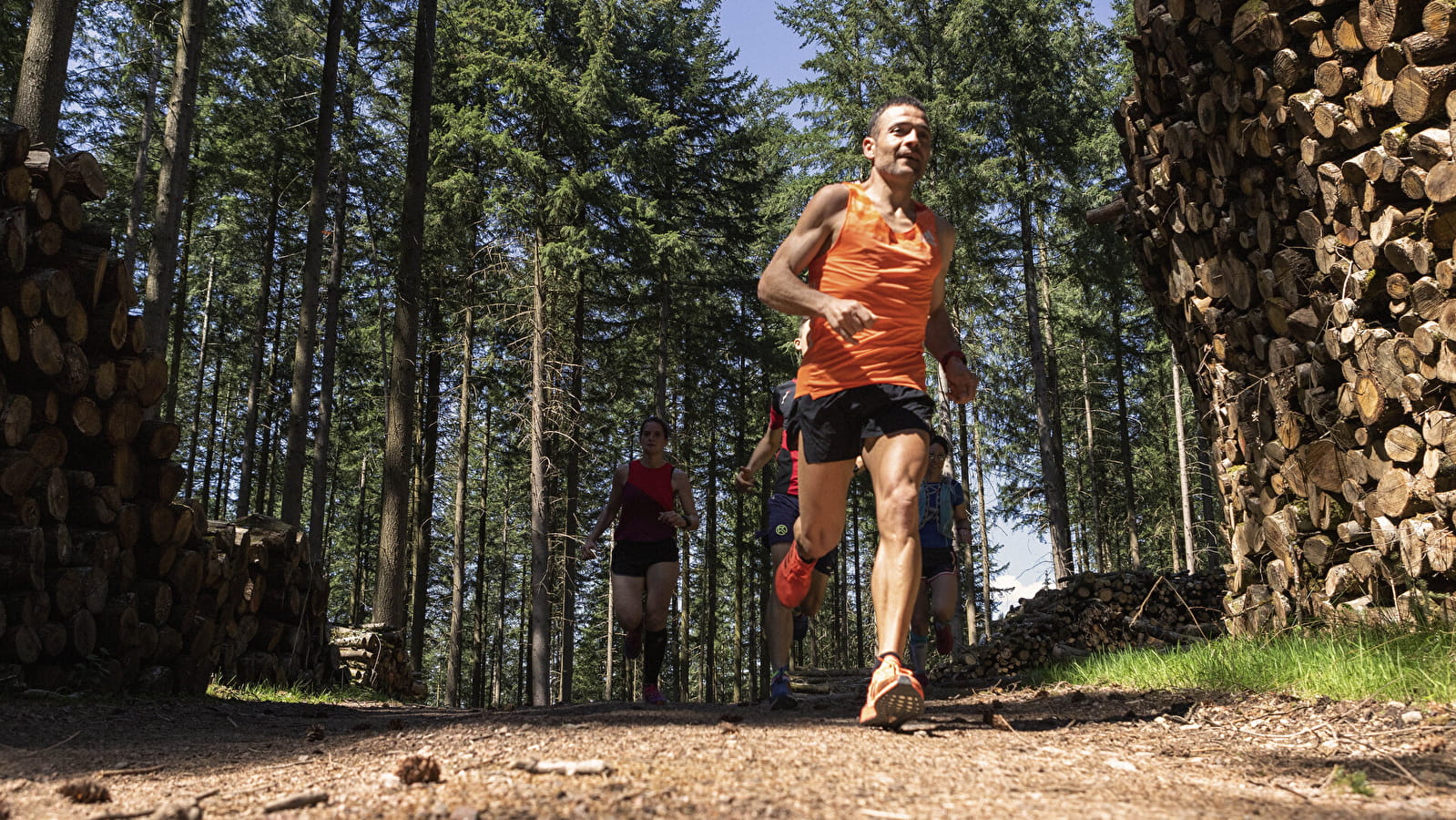 Circuit de Trail: Boucle n°3 de Moux-en-Morvan