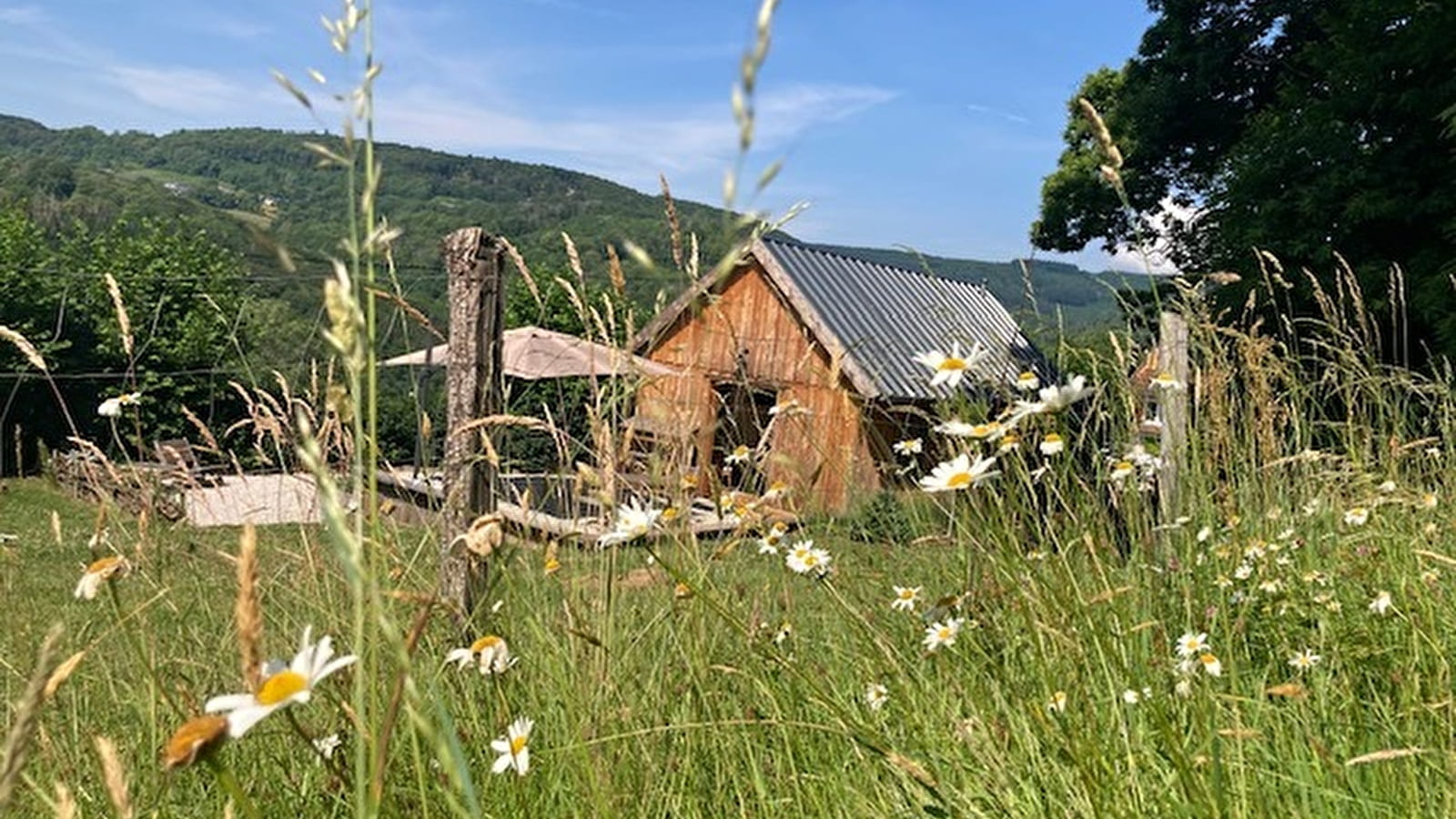 Chalet Au Bois Du Haut Folin