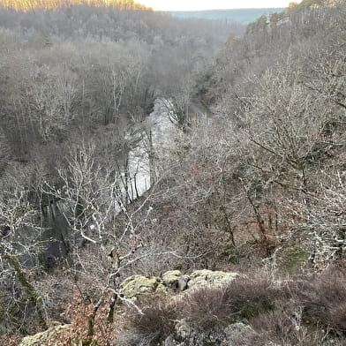 Parc du Château d'Orbigny