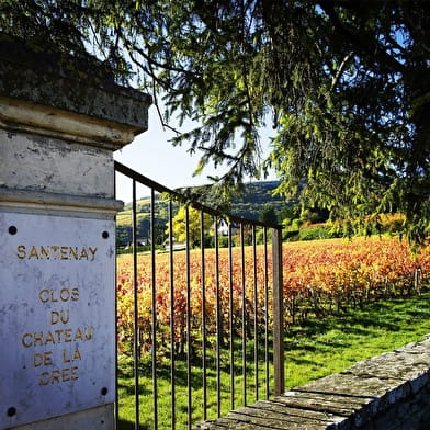 Mets & Vins au Château de la Crée