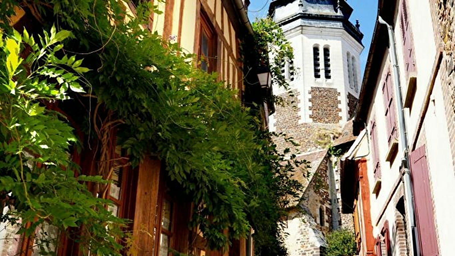 Des ruelles pavées de Toucy aux trognes du Bois des Quatre Francs