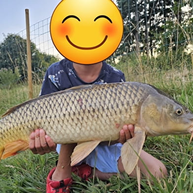 Gîte L'Etang des Soays