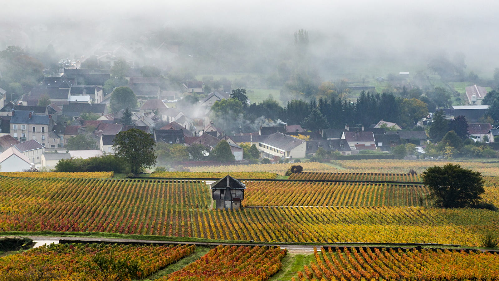 Chemins de Bourgogne - Journée en Côte de Beaune et Côte de Nuits