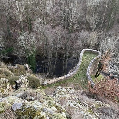 Parc du Château d'Orbigny