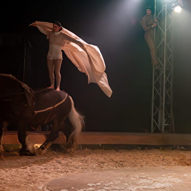 Spectacle Équestre de Noël - 'Envolez-moi'