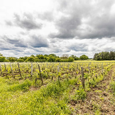 Clos de la Maison