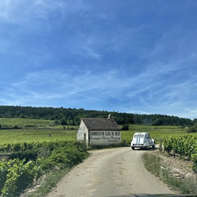 Wine & Tours, Côte de Nuits