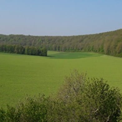 Circuit du méandre de l'Yonne