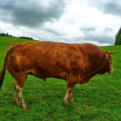 La Ferme du Martray