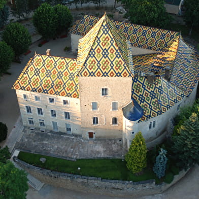 Wine and Tours, oenotourisme : Les Châteaux des Côtes viticoles de Nuits & Beaune