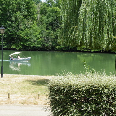 Water Bike 