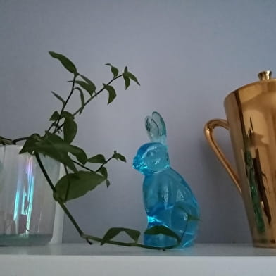 Le Gîte du Lapin Bleu