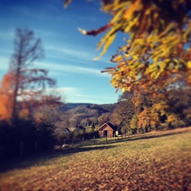 Chalet Au Bois Du Haut Folin