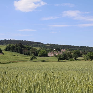 Des carrières de la Lie à la Solitude - Prissé