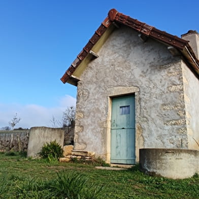 Immersion dans les vignes