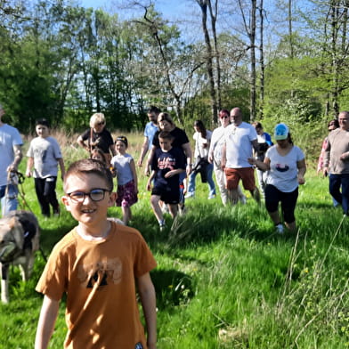 Randonnées avec les chiens-loups