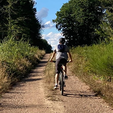 Circuit VTT du Bazois : entre bocage et Bois de Dély