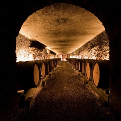 Marché aux Vins - Dégustation Découverte