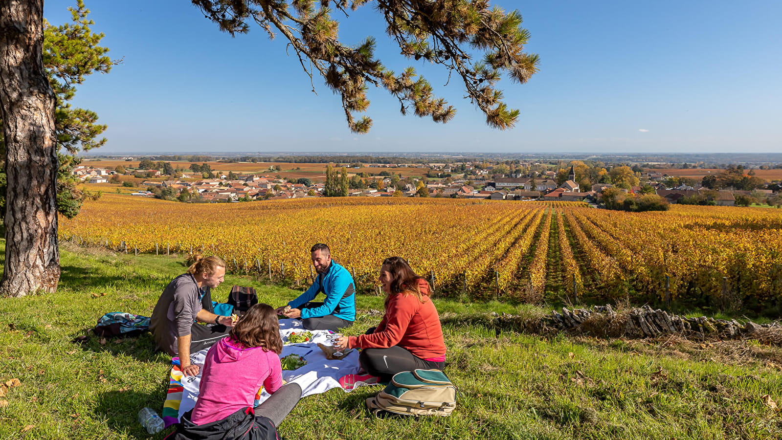 Lugny, le Mâconnais Panoramique