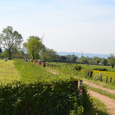 Chemins de la Jouvencelle