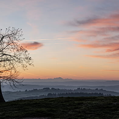 Fabien ZUDDAS photographe