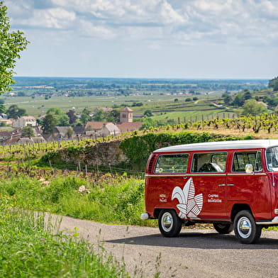 Chemins de Bourgogne - Circuit dans la Côte de Nuits, en Combi - Après-midi