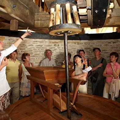 Visite guidée « à la découverte du Moulin Sorine & du vignoble de Santenay »