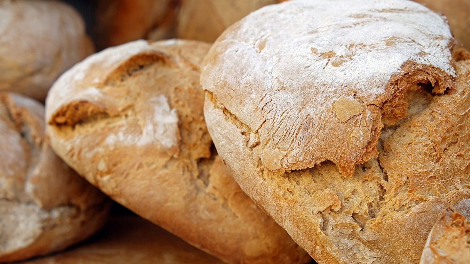 Marché de producteurs hebdomadaire du Domaine Neuf