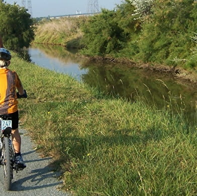 La Puisaye en famille / 7 jours 