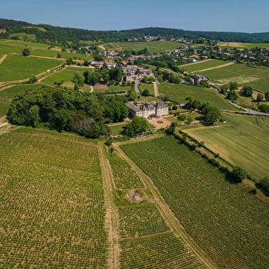 Von den Steinbrüchen der Lie bis zur Solitude - La Roche-Vineuse