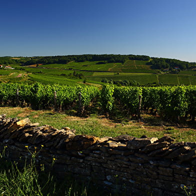 Le tour du Mont Bouzu