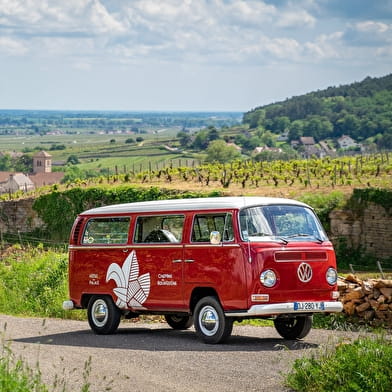 Chemins de Bourgogne - Circuit dans la Côte de Nuits, en Combi-Matin