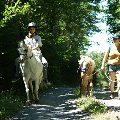 Domaine de Chantôt