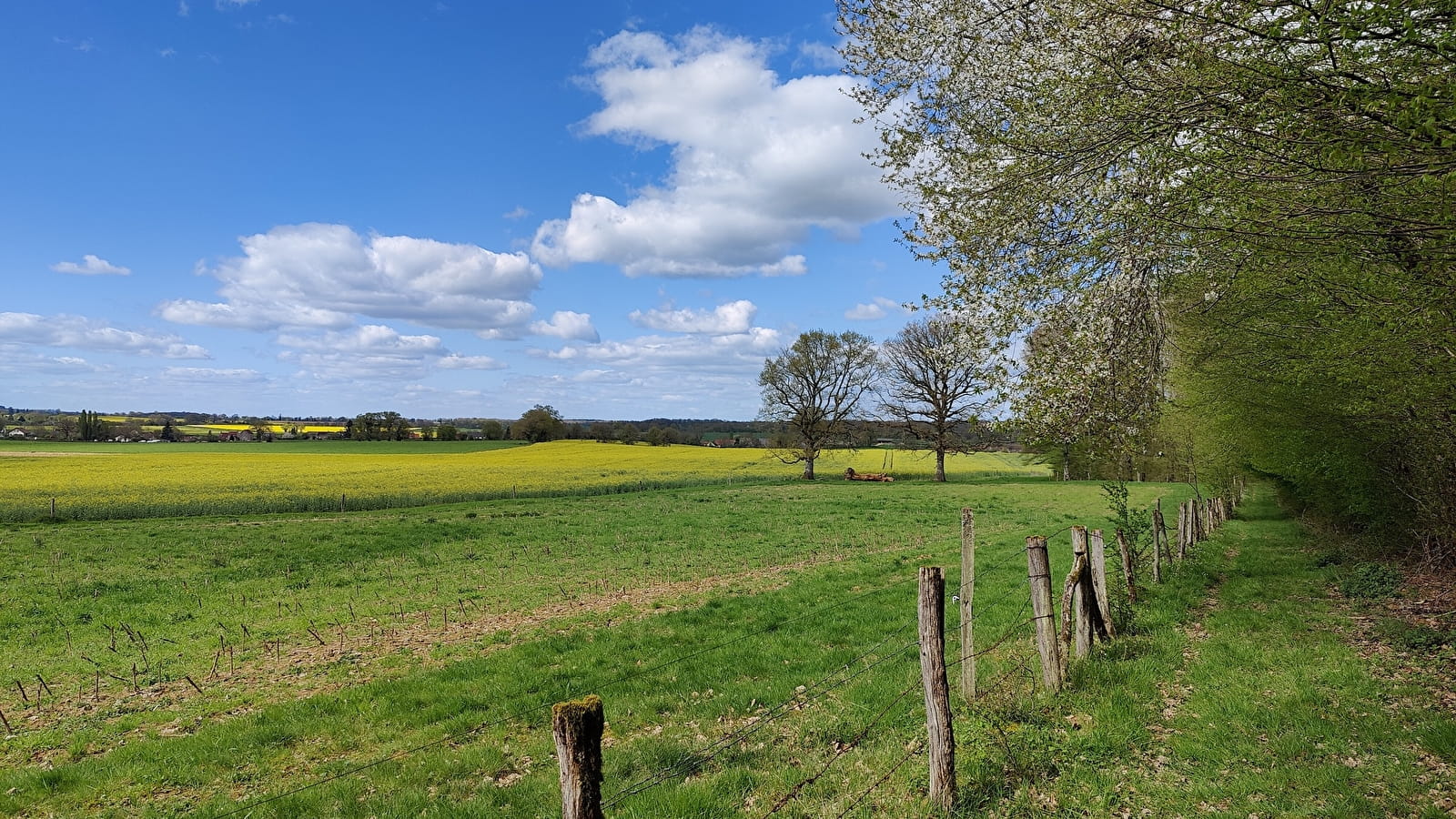 Circuit VTT du Bazois : entre bocage et Bois de Dély