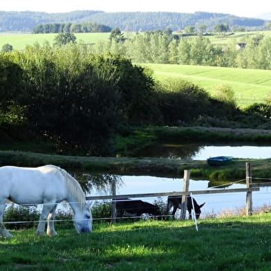 Domaine de la Forêt