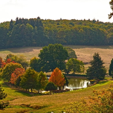 GR® de Pays Tour du Morvan