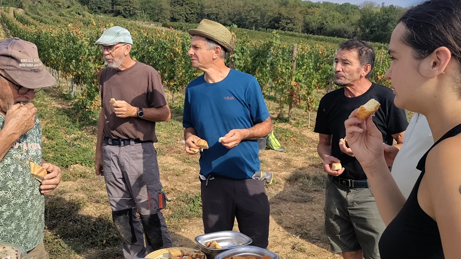 Parcours en Chardonnay avec le Domaine de la Cozanne