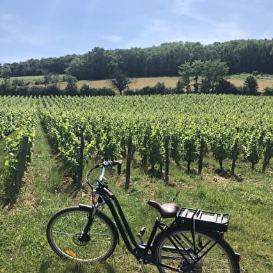 La VélOeno71 : sur les traces de l'emblématique Chardonnay