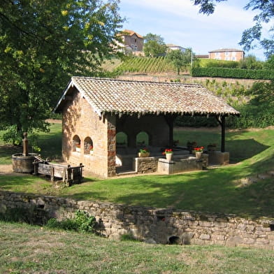 Die Pfade der schönen Aussichten - Saint-Amour-Bellevue