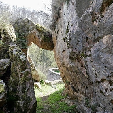 Parc du Château d'Orbigny