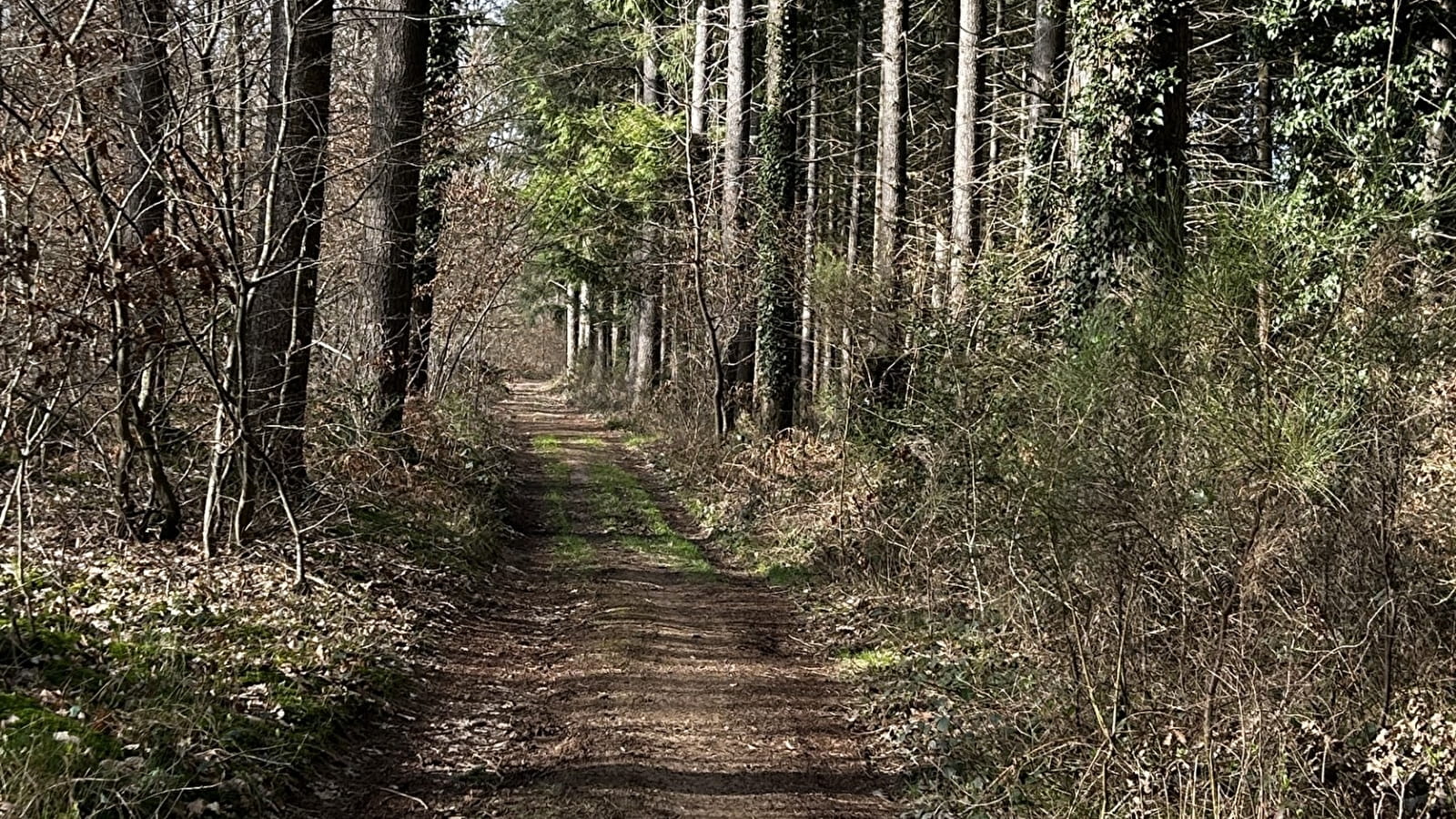 Balade Verte - Die Promenade de l'Ermite