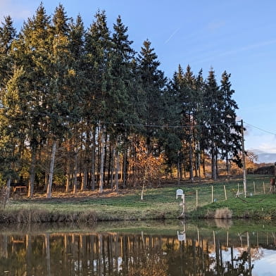 Gîte L'Etang des Soays