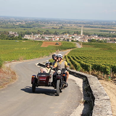 EXCURSIONS EN SIDE-CAR DANS LE VIGNOBLE - ESCAPADE DANS LES CLIMATS DE BOURGOGNE - 1H