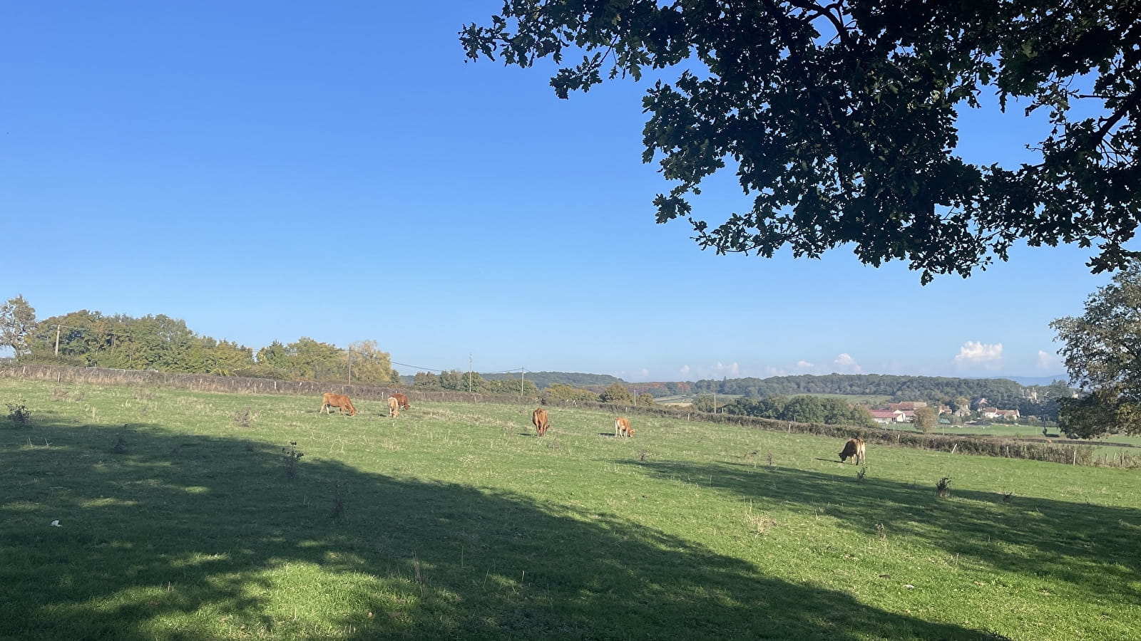 Autour de Champs des Bois